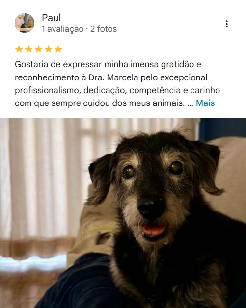 Avaliação real de tutor sobre o Elective