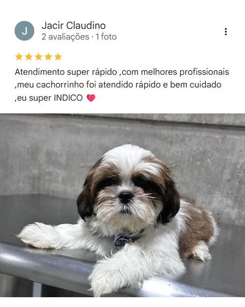 Avaliação real de tutor sobre o Elective